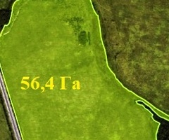 Земельный участок 56,4 Га, в Муромцево, Волоколамский г.о. - Изображение 6