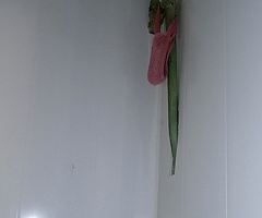 Однушка 21,2 метра в 4х квартирном доме по отличной цене, в г. Смоленск, ул. 4я загорная - Изображение 17
